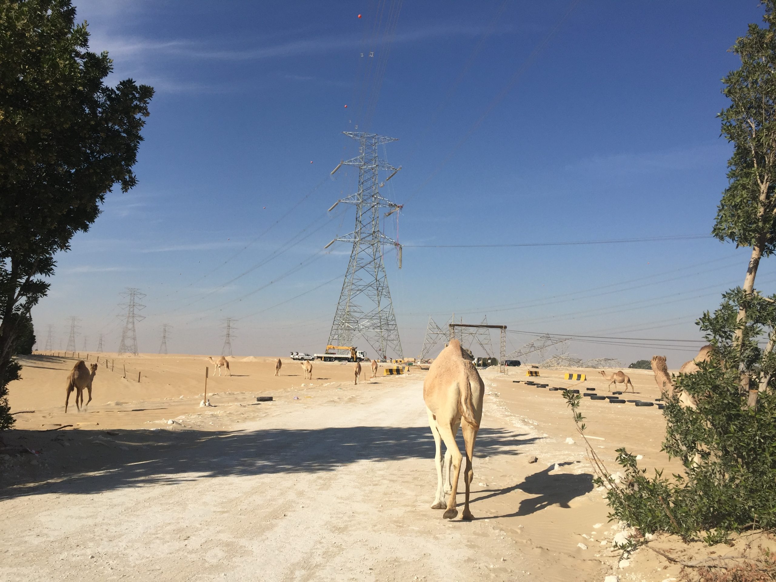 Transmission lines Omexom